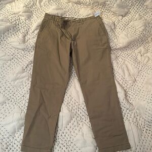 Banana republic Athletic fit pants brown